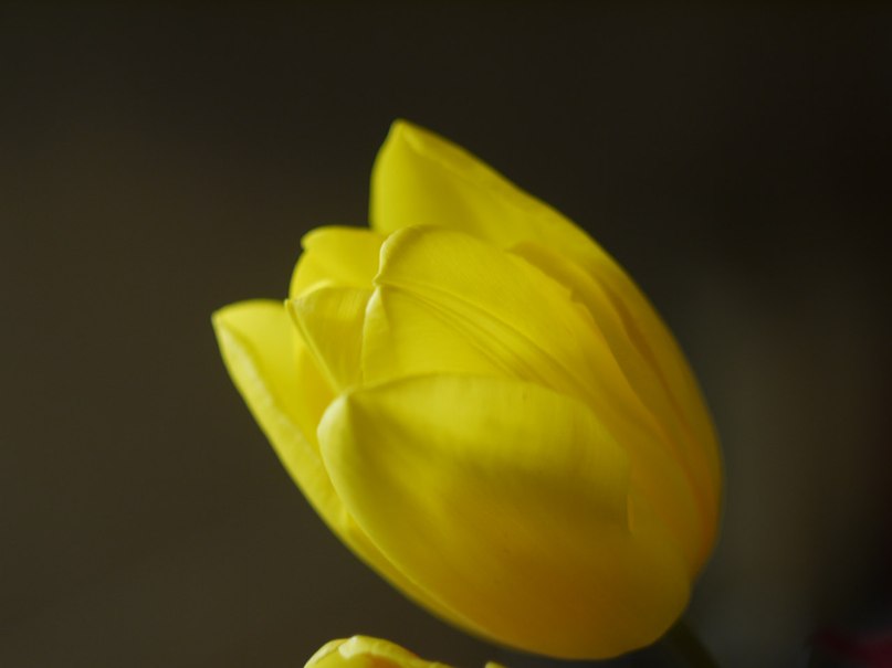 Евгений Евдокимов | Тюмень