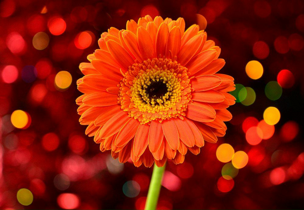 Анна Пивкина | Казань