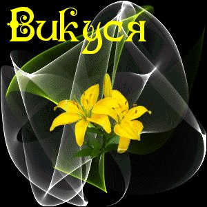 Викуся Кожокарь | Киев