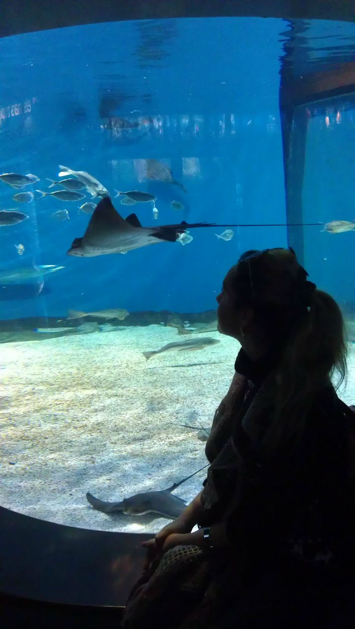 Марина Лымарь *Sea*_*Wave* | Белая Церковь