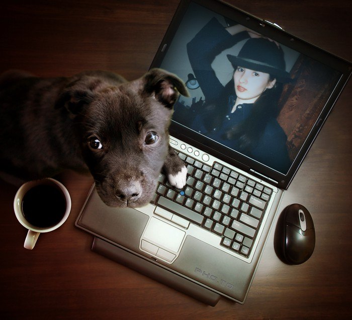 Анастасия Таварткиладзе | Ижевск