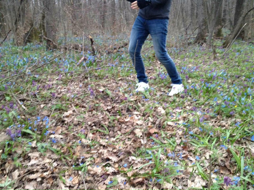 Дмитрий Таран | Харьков