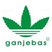 №18, Никита Абросимов №18, Никита Абросимов