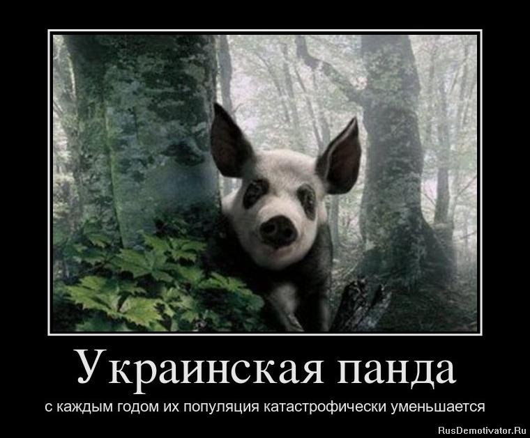 Сергей Казарин | Краснодар