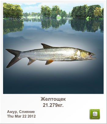 Дмитрий Карпенко | Красный Сулин