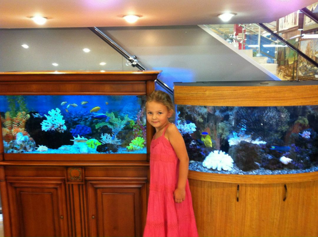 Марина Момот | Москва