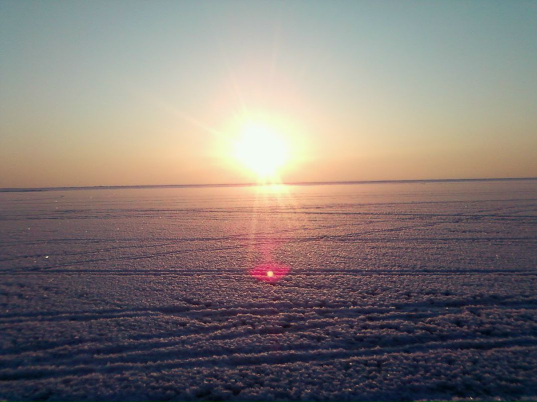 Владимир Мамаев | Ильинский