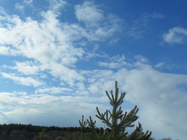 №69, Татьяна Михеева-Яковлева, 60 лет, Череповец №69, Татьяна Михеева-Яковлева, 60 лет, Череповец