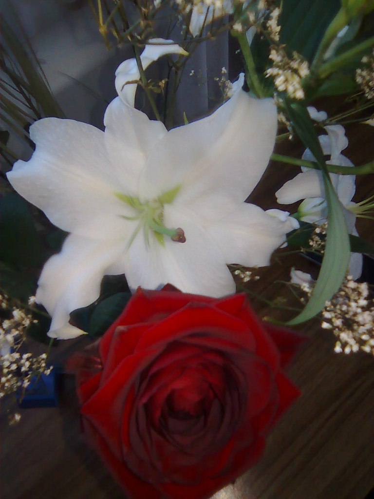 Зульфат Закирзянов DARK | Казань