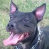 Аватар: Ирина Нагорняк