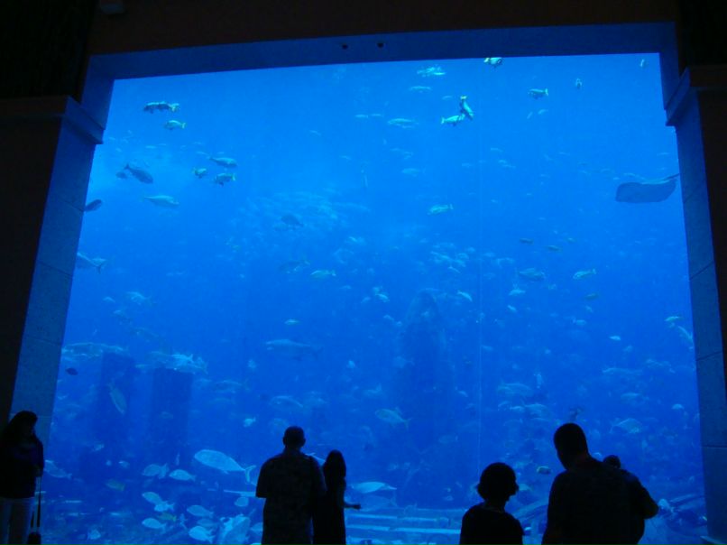 Серёга Агафонов | Харьков