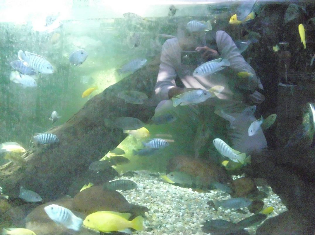 Alexandr Oseev | Magdeburg