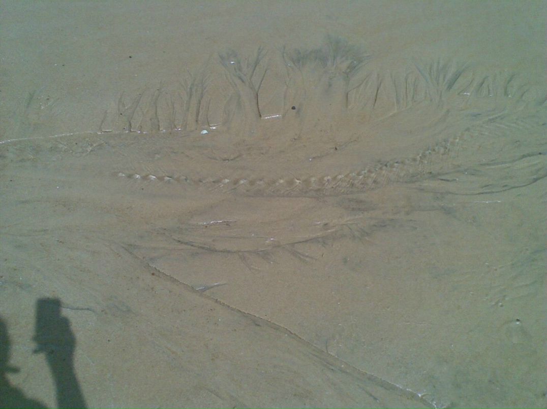 Александра Сашнева | Москва