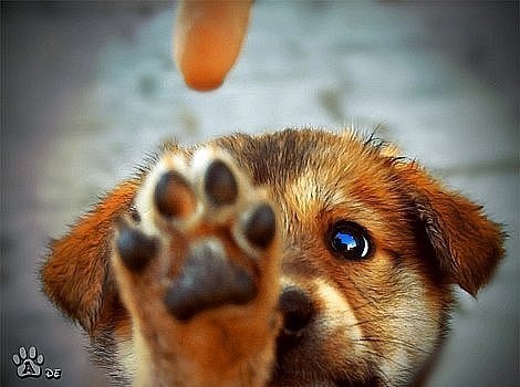 Надежда Петрик | Москва