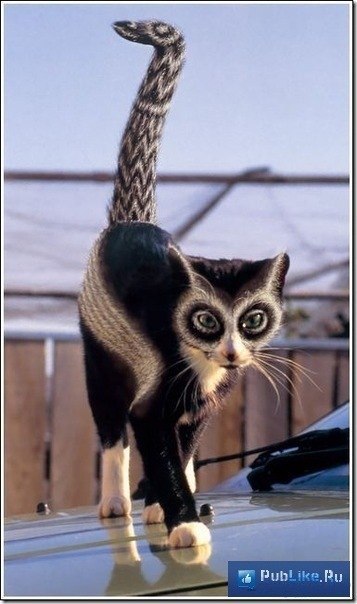 Ольга Денисова | 