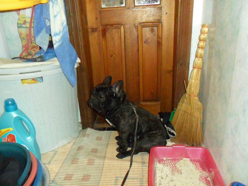 Николай Павлов | Екатеринбург