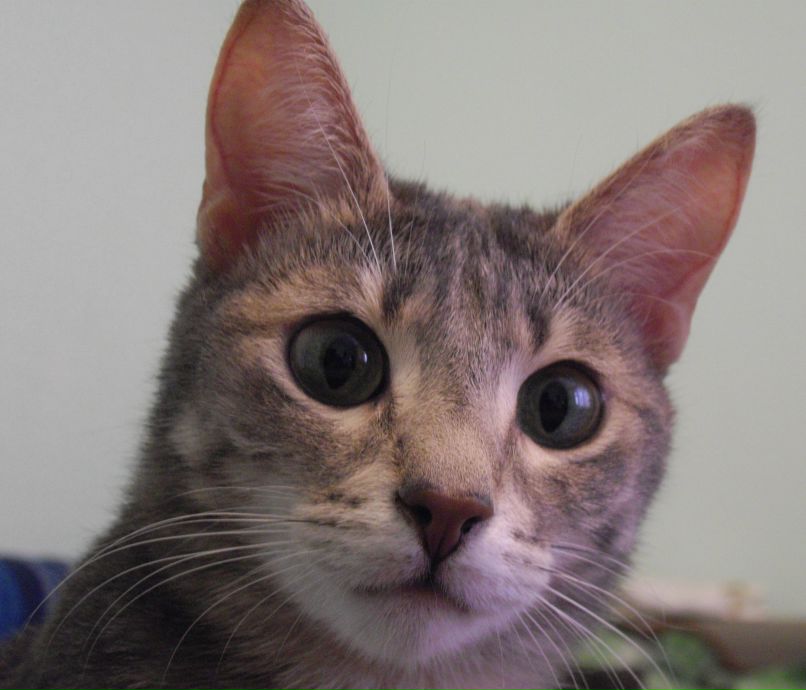 Максим Савин | 