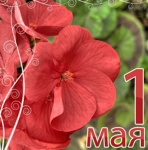 №66, Анна Потапова, Barcelona №66, Анна Потапова, Barcelona