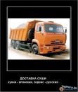 Фотография Соболева Елена
