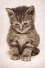 Анастасия Орлова фотография #19