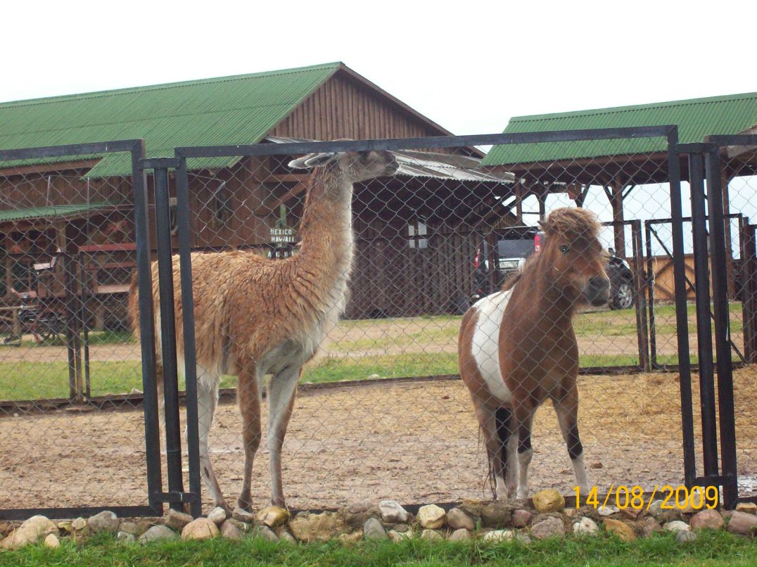 Вячеслав Морозов | Москва