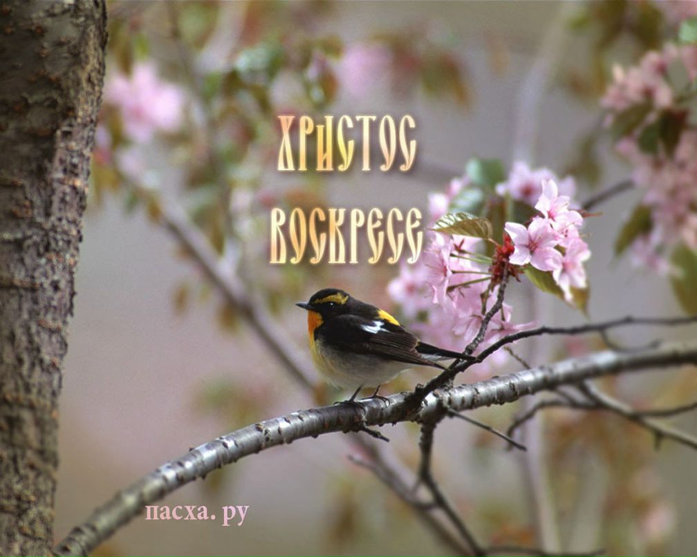 Kvin Melori | Москва