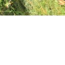 №16, Анастасия Михнюк, 25.10.1989, Донецк №16, Анастасия Михнюк, 25.10.1989, Донецк