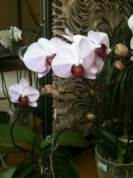 №27, Елена Матущак, 44 года, Хмельницкий №27, Елена Матущак, 44 года, Хмельницкий