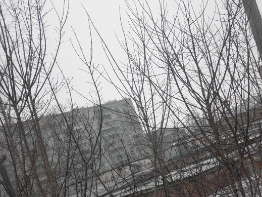 №92, Зинаида Чугуевская №92, Зинаида Чугуевская