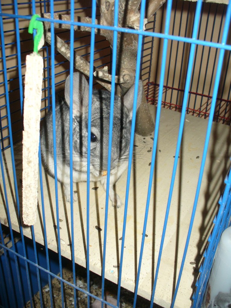 Галина Захарова *ГаЛиНкА* | Одесса