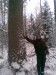 Алексей Хорьков фотография #3