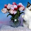 Аватар: Нинка Ефимова