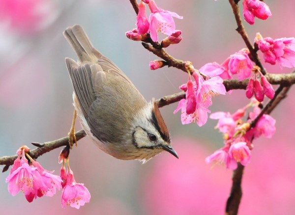 Евгений Криницын | Москва