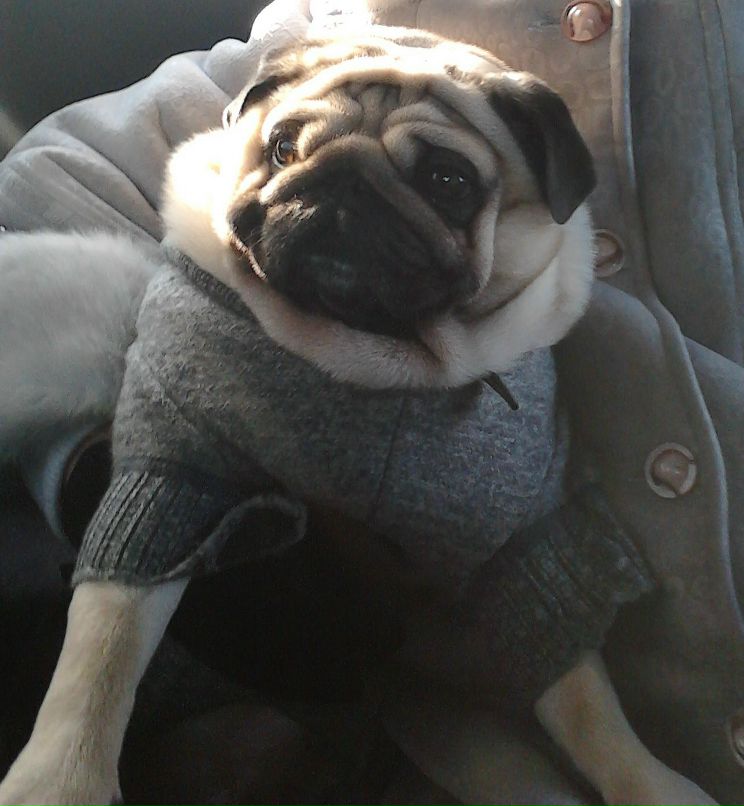 Алексей Романовский | Киев