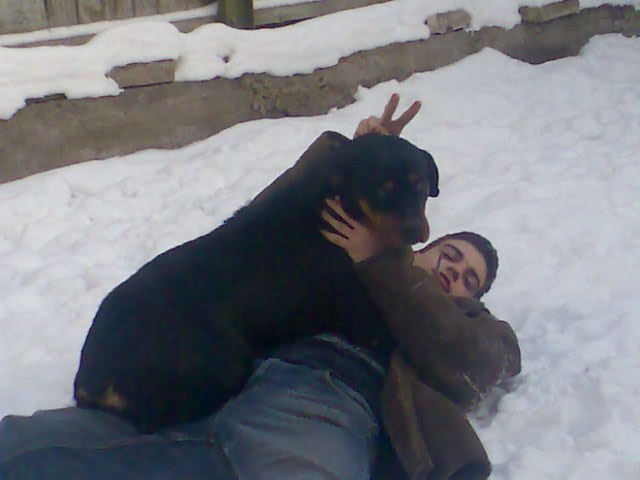 Александр Кабанец | Запорожье