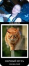 Фотография Мальцева Юлия