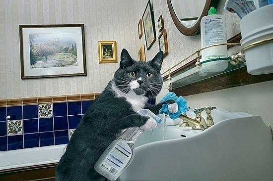 Татьяна Михадюк Геннадьевна | Санкт-Петербург