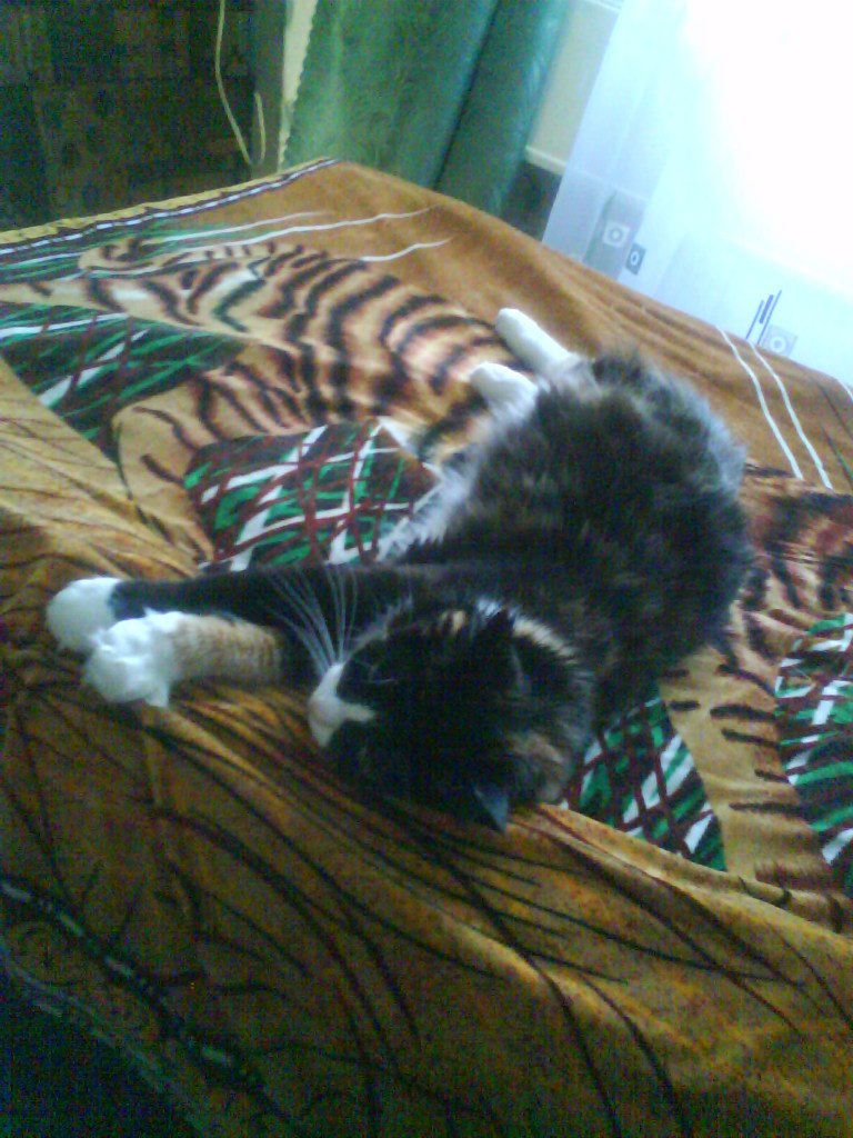 Андрей Певцов | Новосибирск