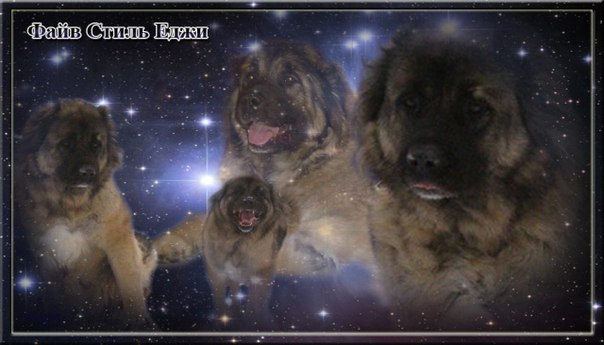 №57, Вероника Доничева, Новосибирск №57, Вероника Доничева, Новосибирск