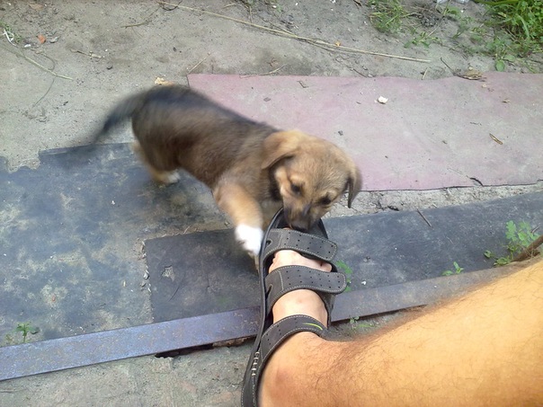 №191, Эдик Мартыненко, 31 год, Сумы №191, Эдик Мартыненко, 31 год, Сумы