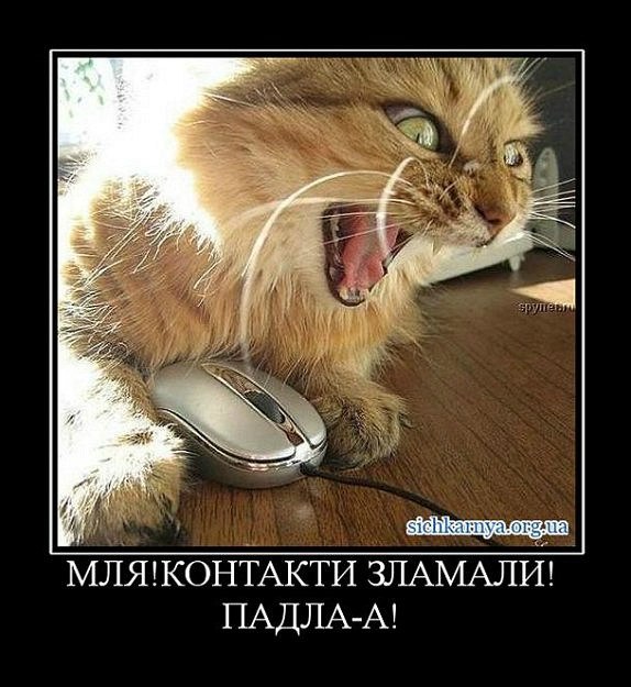 Мария Моисейчева | Киев