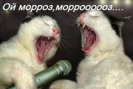 №59, Dina Prudens, Санкт-Петербург №59, Dina Prudens, Санкт-Петербург