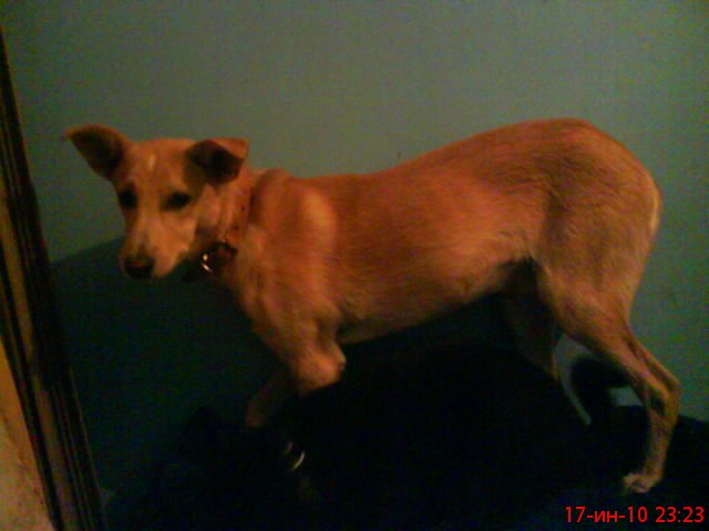 Марина Казбек | Печоры