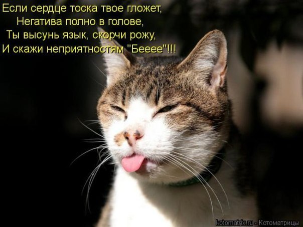 №26, Натали Ценцеря, 39 лет №26, Натали Ценцеря, 39 лет