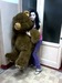 Куська Илларионова фотография #41