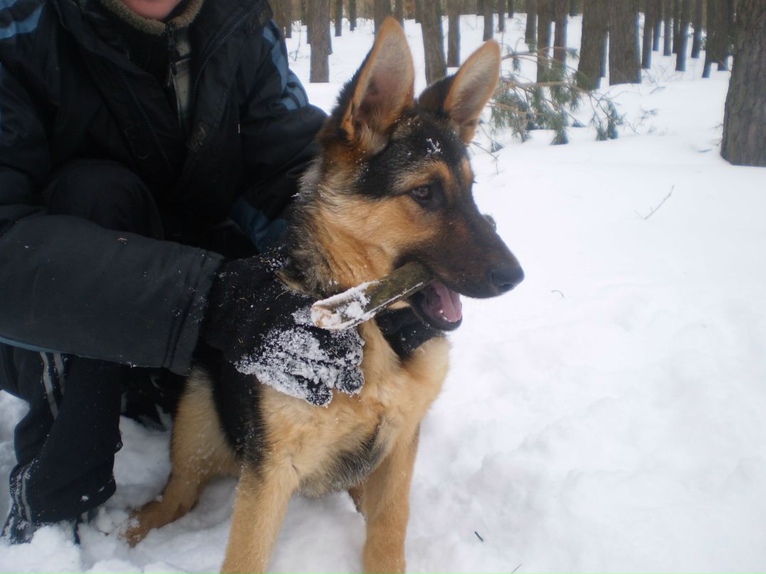 Игорь Олефир olefan | Березань