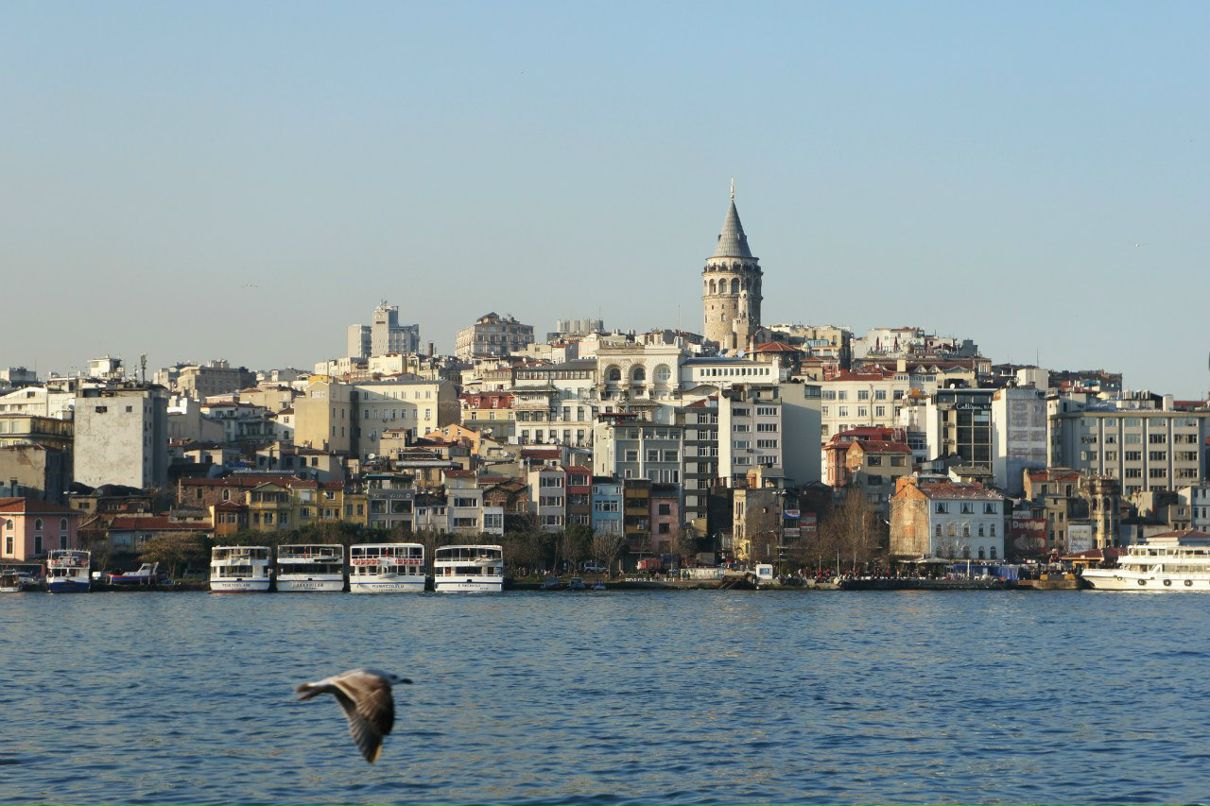 Роман Шипилов | Санкт-Петербург