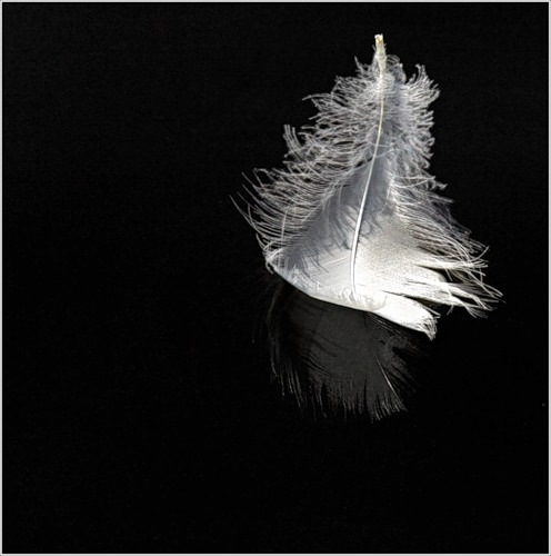 №7, Наталія Арендацька, Ужгород №7, Наталія Арендацька, Ужгород