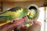 №9, Татьяна Пуговкина, Москва, Россия