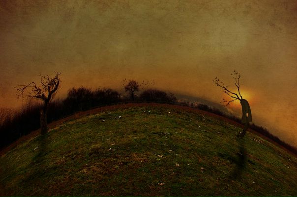 №24, Подруга Ветра, Москва №24, Подруга Ветра, Москва